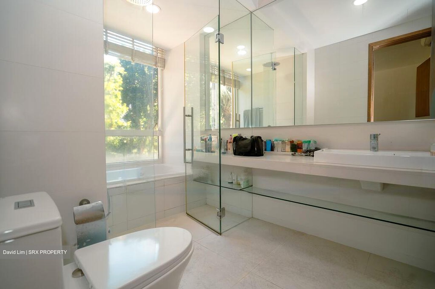 Amber Road (D15), Condominium #451134021